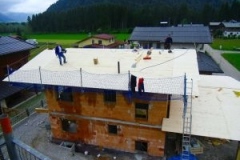 Dachst_hle_2_